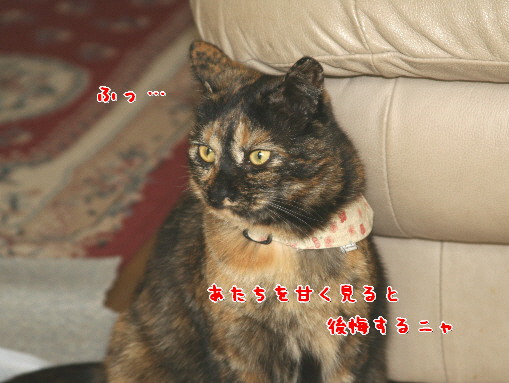 d0013149_143597.jpg