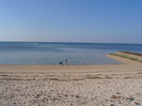 d0131851_13272834.jpg