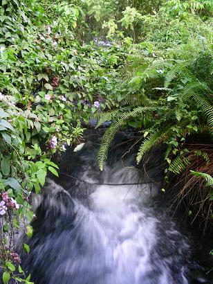 f0032653_055147.jpg
