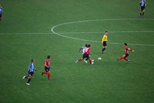 e0078069_1059563.jpg