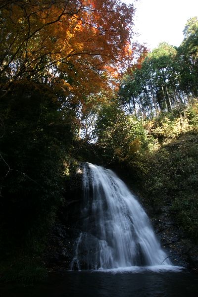 b0084270_4322327.jpg