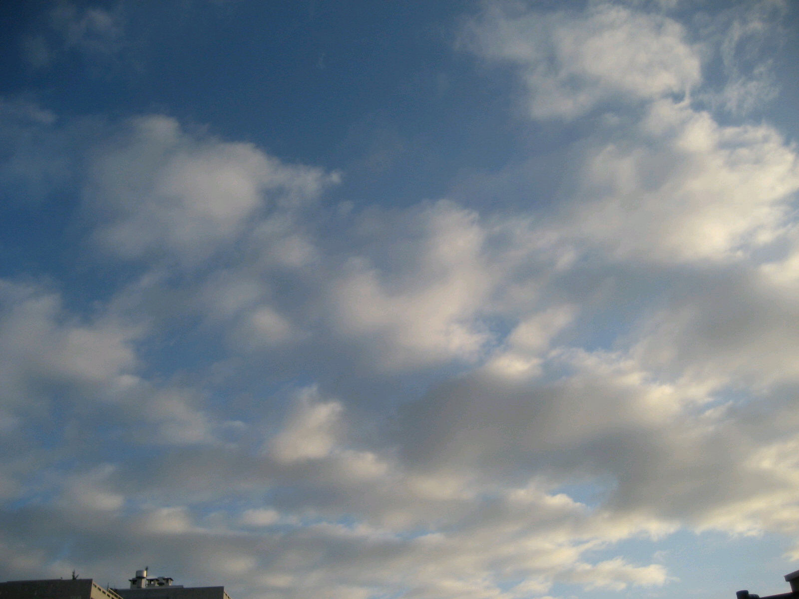 a0104474_182353.jpg