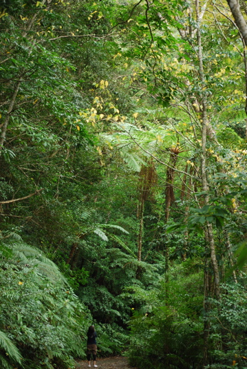 c0151875_0435317.jpg