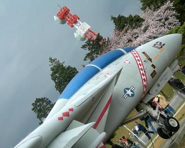 c0073377_9384010.jpg