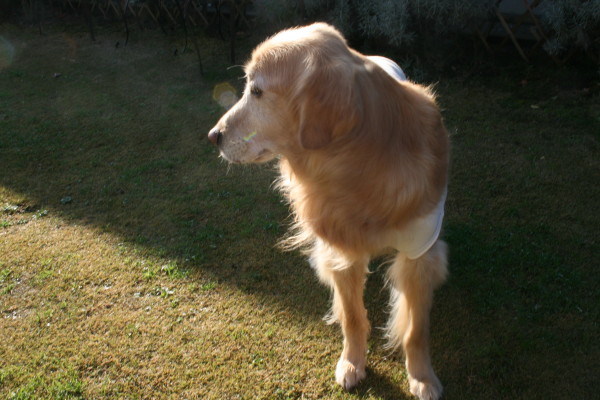 e0114977_1039459.jpg