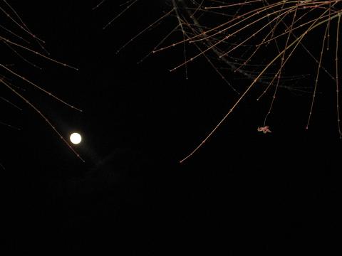 b0032079_8302560.jpg