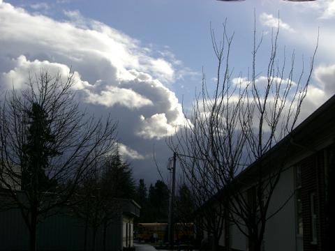 f0112080_60085.jpg