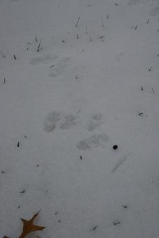 c0133498_1246147.jpg