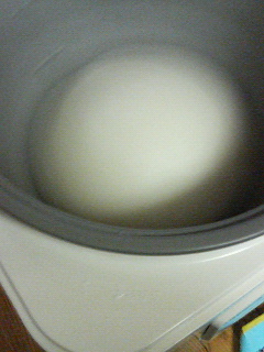 a0080002_22292129.jpg