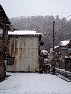 d0093903_8595535.jpg