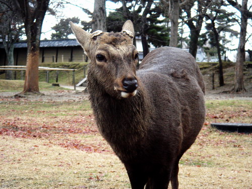 f0100505_046125.jpg