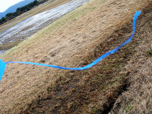 f0100505_1183020.jpg
