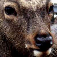f0100505_25781.jpg