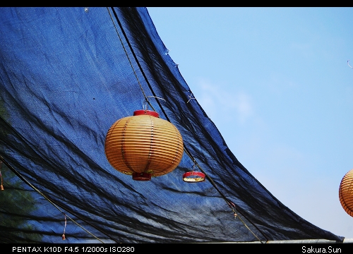 b0111106_1217377.jpg
