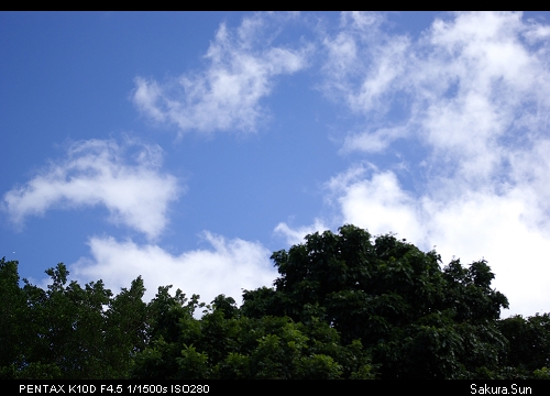 b0111106_12175765.jpg
