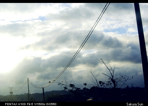 b0111106_125304.jpg
