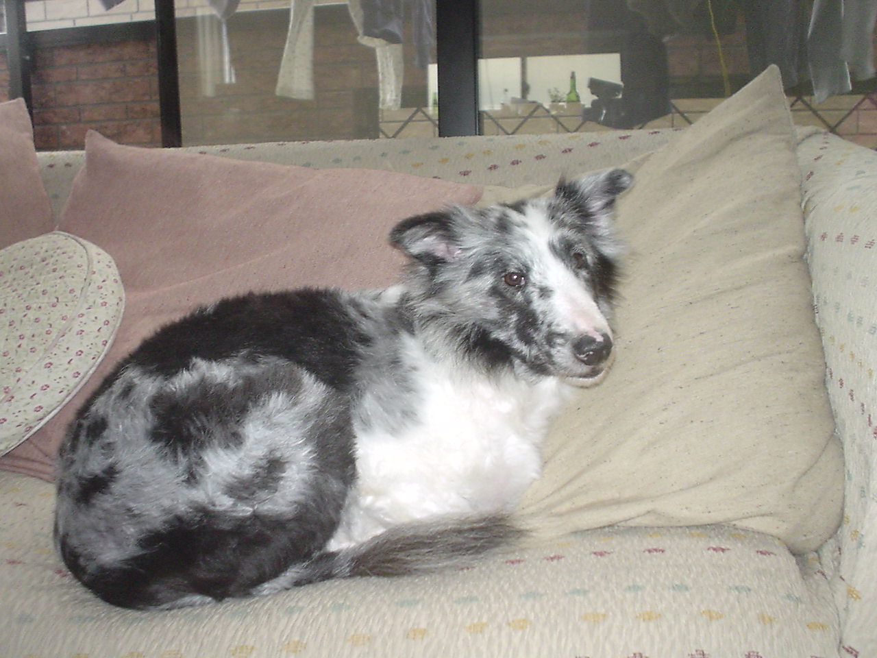 c0150520_1714131.jpg