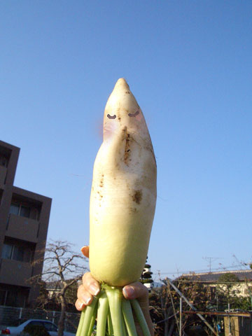 d0133320_4504030.jpg