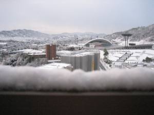 a0105023_1422455.jpg
