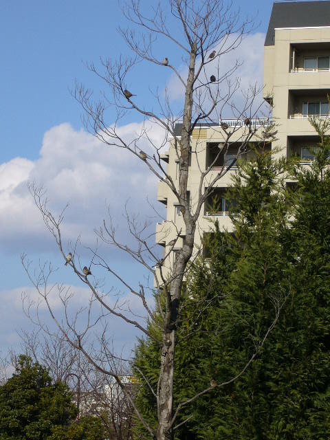 f0079723_1943895.jpg