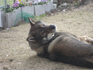 f0143123_14101317.jpg