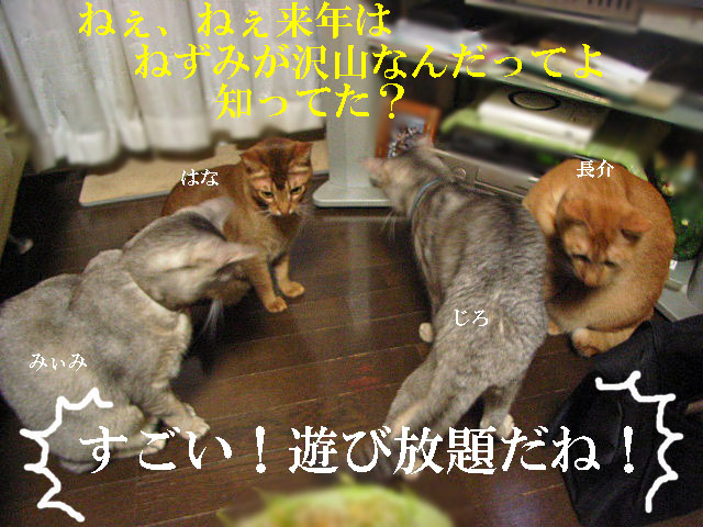 d0081025_19222397.jpg