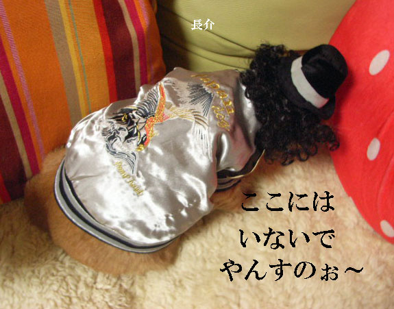 d0081025_8512216.jpg