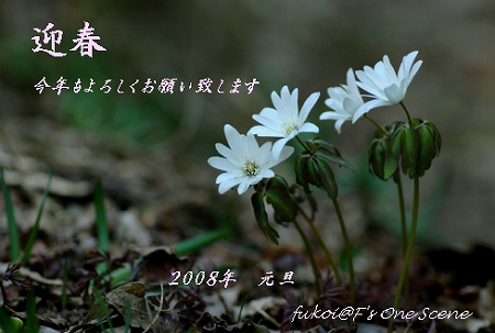 c0027027_23565640.jpg