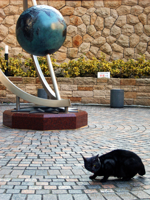 e0016732_043890.jpg