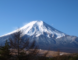 d0058543_8162927.jpg