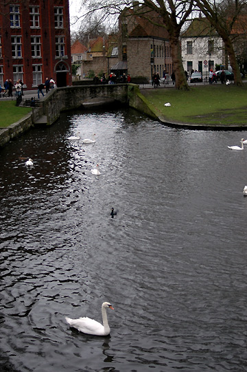 d0008146_6225483.jpg