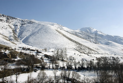 b0006449_1492870.jpg