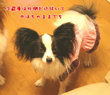 d0013149_227966.jpg