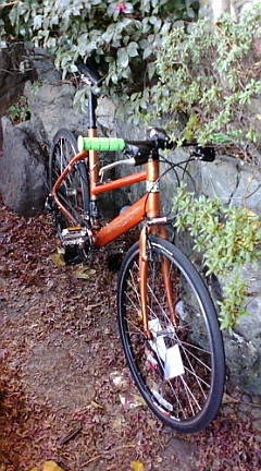 c0068451_9501198.jpg