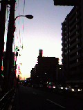 d0036951_720897.jpg