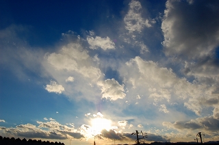 c0133653_236662.jpg