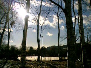 d0007062_21323659.jpg