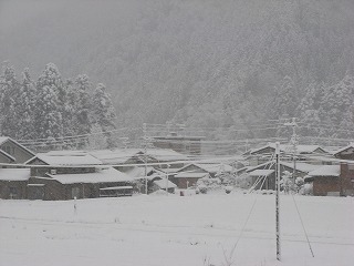 f0083262_8305024.jpg
