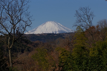 e0054067_16333780.jpg