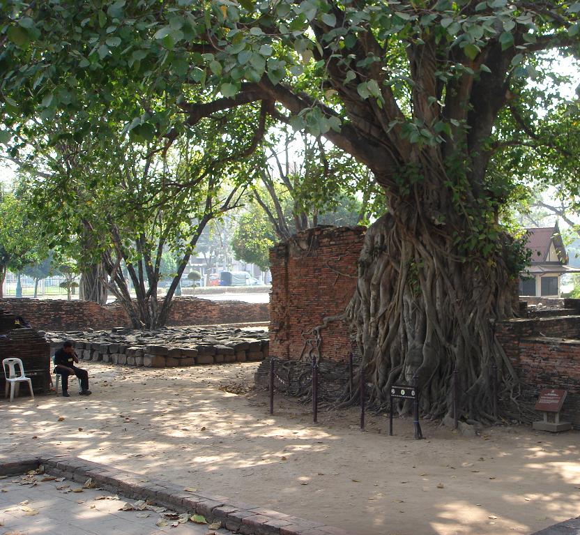 c0134569_13165450.jpg
