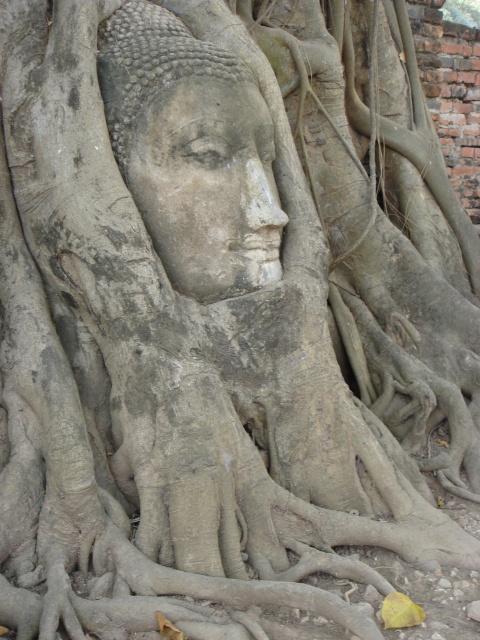 c0134569_13191040.jpg