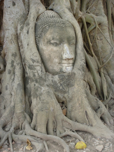 c0134569_13193021.jpg