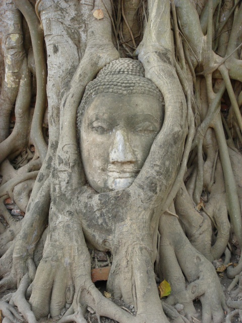 c0134569_13205337.jpg