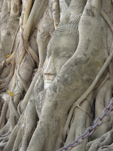 c0134569_1322065.jpg