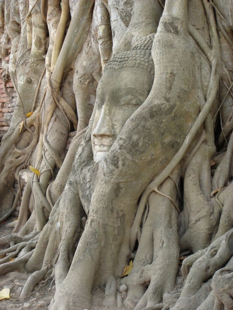 c0134569_13223282.jpg