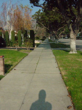 f0052071_205252100.jpg