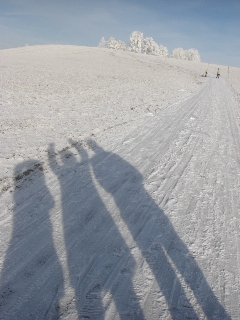 c0110074_14161140.jpg