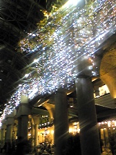 c0102375_311368.jpg