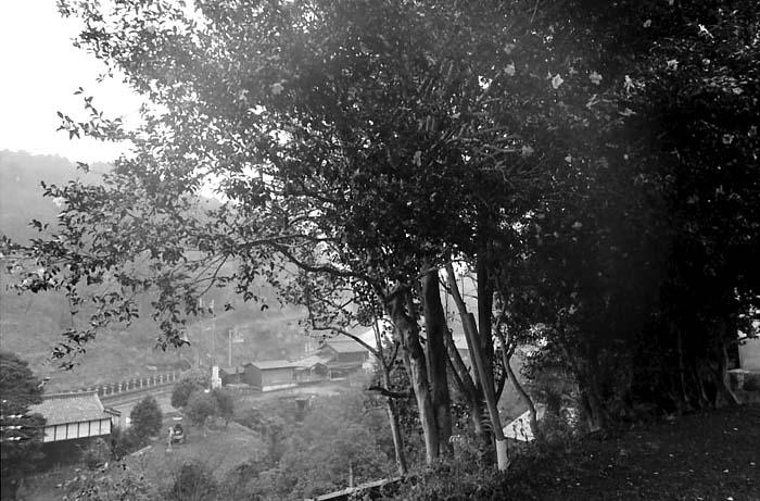 c0131875_16542611.jpg