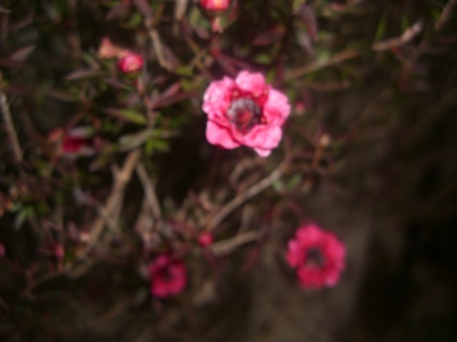 f0137275_7535142.jpg
